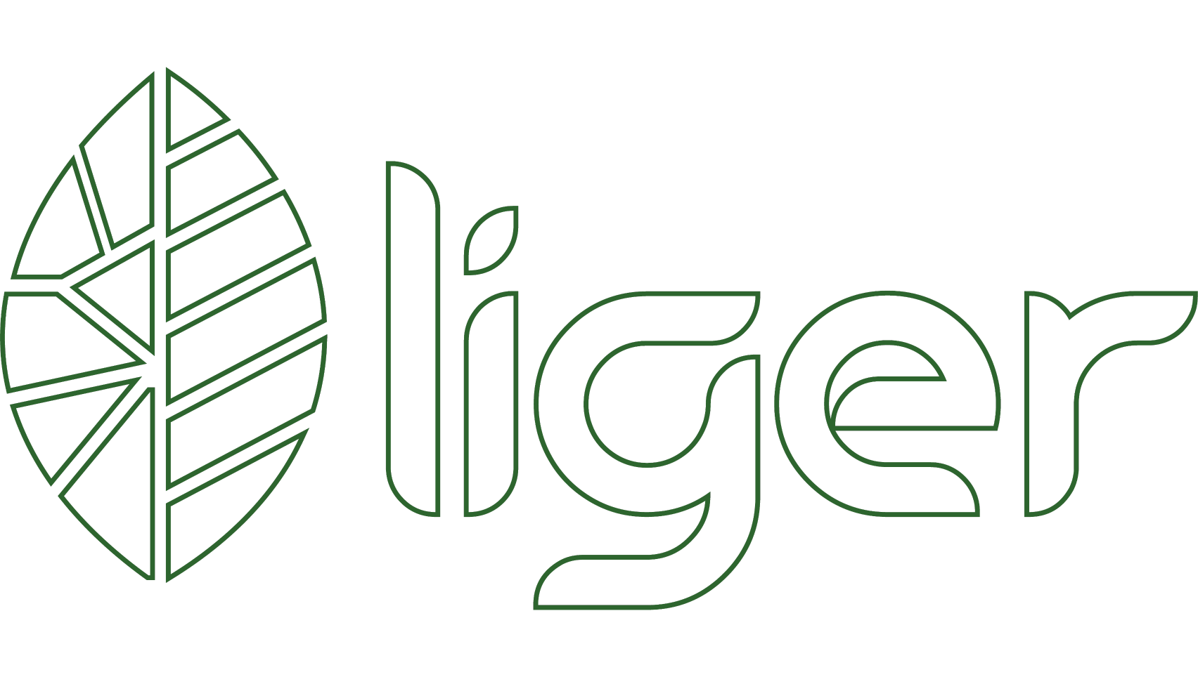 LOGO LIGER