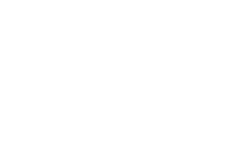 Logo blanc FO Air France