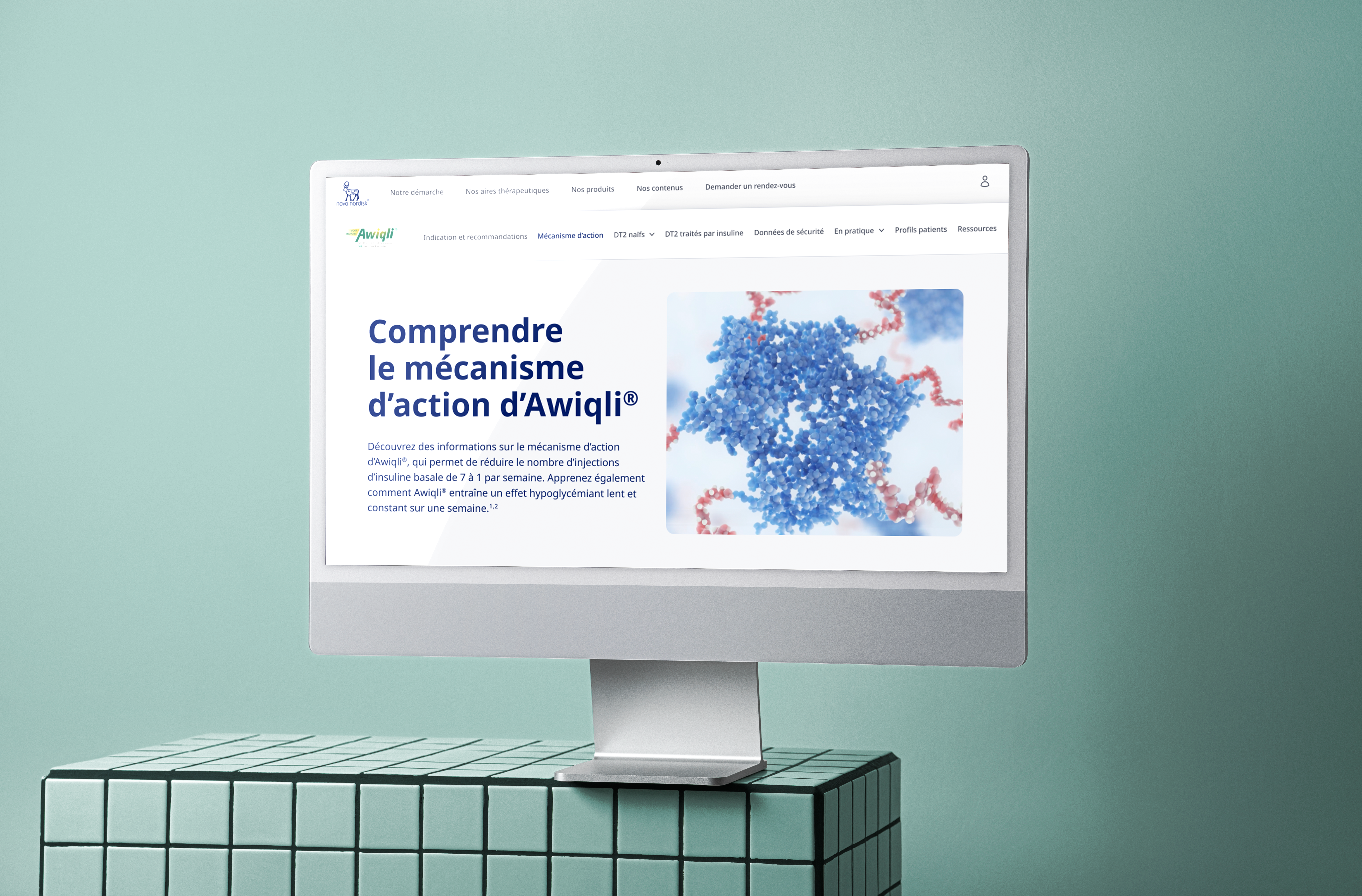 MOCKUP AWIQLI copie